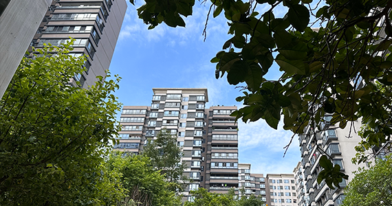 com域名查询大师下载