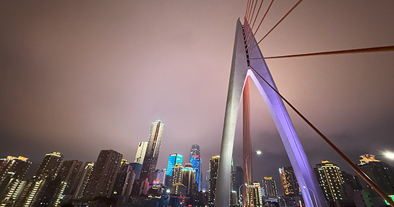 com.cn域名查询系统